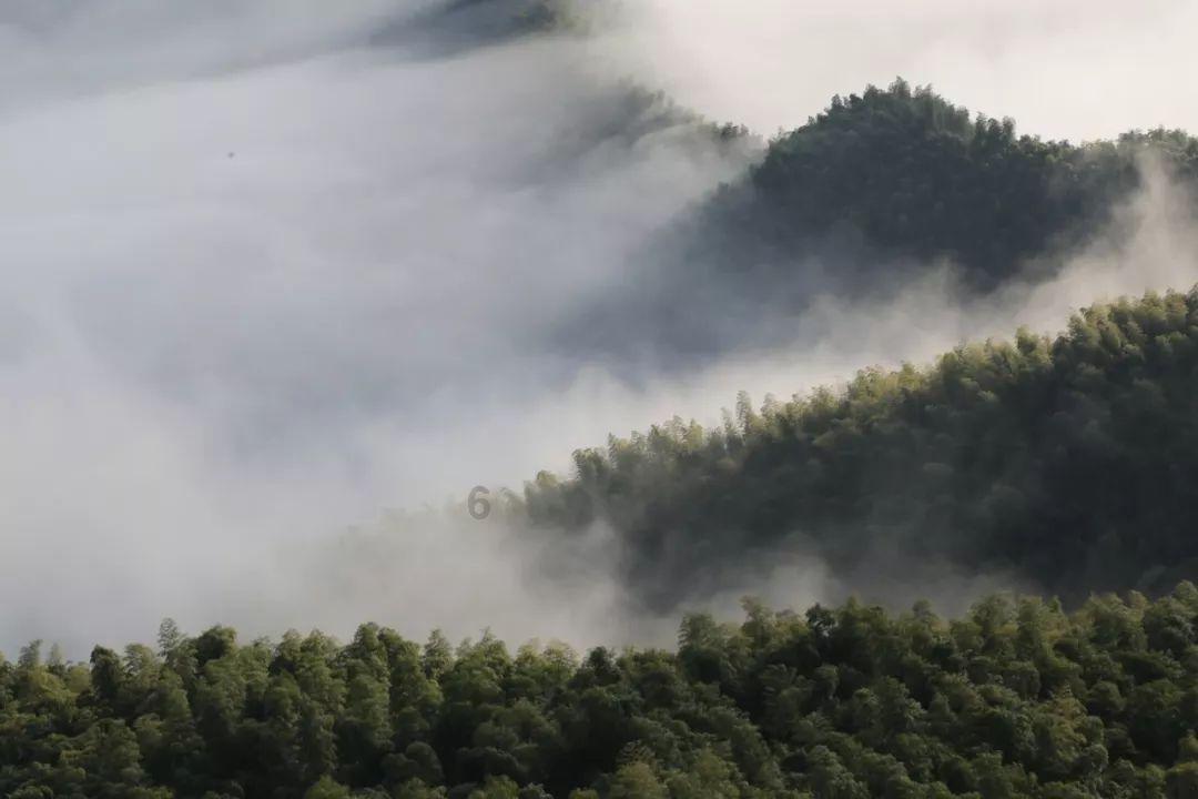 埃利的时装周